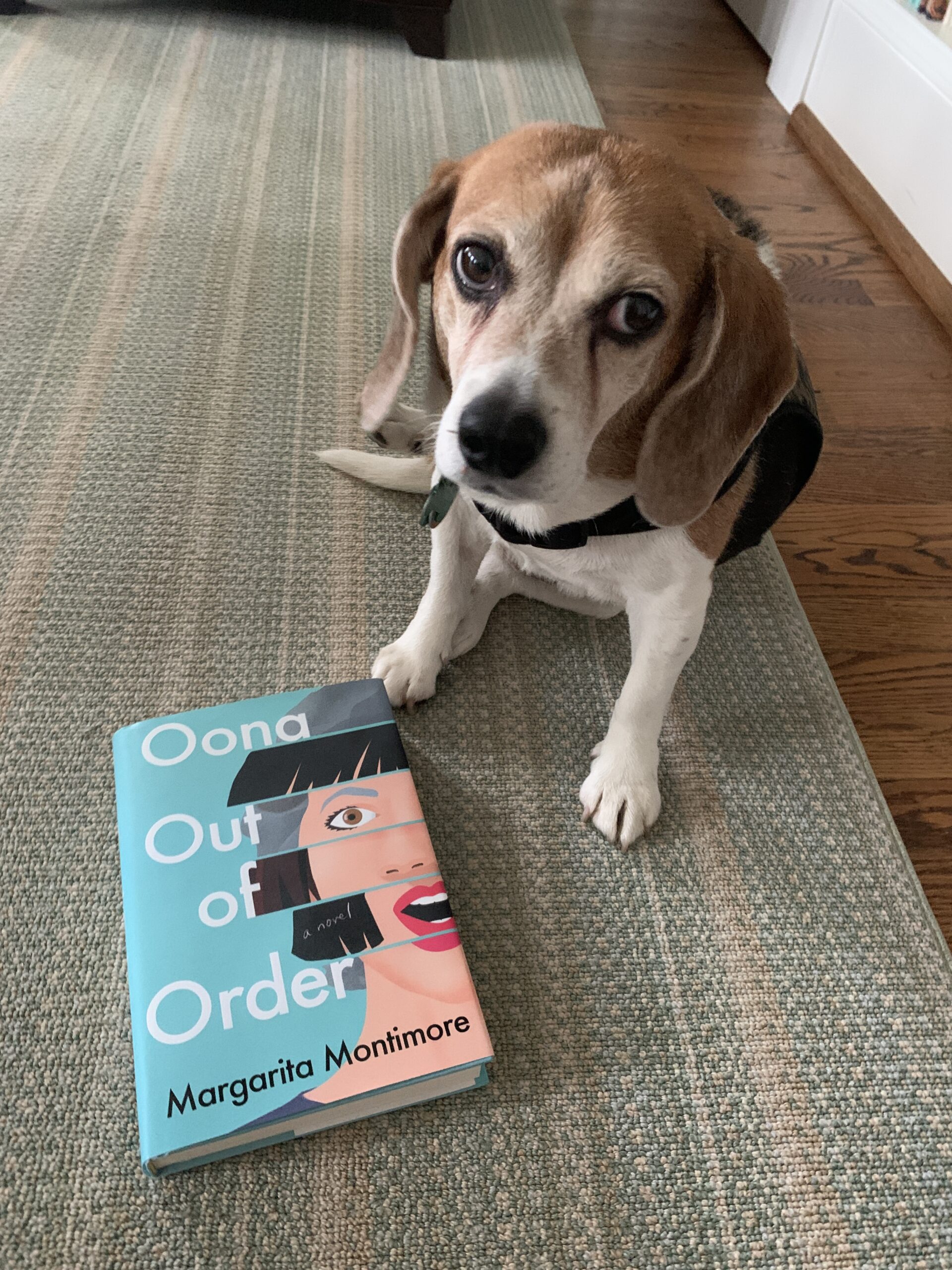 OONA OUT OF ORDER by Margarita Montimore - Everyday I Write the Book